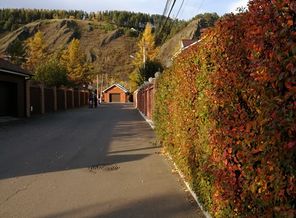 IMG_20181008_153944