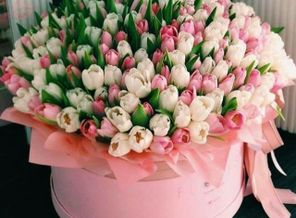 IMG-3f764a7fff1c7a6d119c7e782721abf8-V