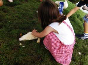 IMG_20180729_184148.jpg