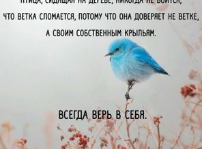 RifwtiQa9MI