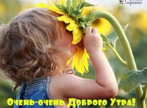 IMG-b6f8244ff0c73ddf6303fc752786a51d-V