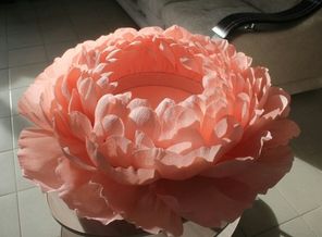 IMG_20180628_235930_005