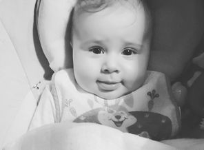 IMG_20181212_093442_153