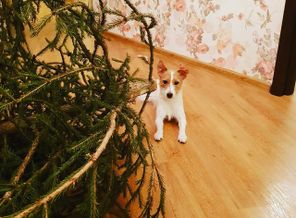 IMG_20181230_191716_421