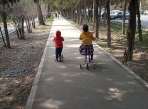 IMG_20190321_141049