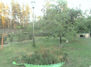 DSC00314.JPG