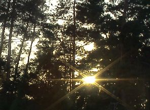DSC00295.JPG