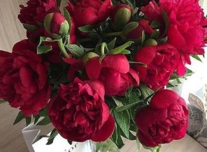 IMG_20190210_193614_722