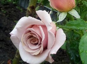 20160703_204311