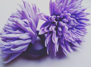 IMG_20180820_121247_754.jpg