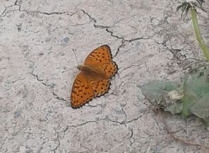 20180603_070622