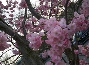 IMG_20180410_193625