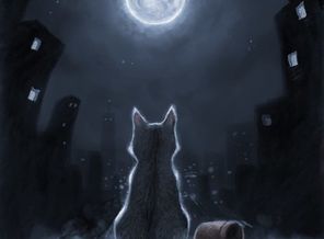 animal-art-black-blue-Favim.com-3325001