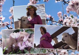 В ожидании чуда: Анастасия Цветаева показала удивительно нежное весеннее видео