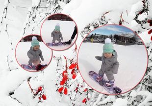 Чемпион растет: годовалый малыш профессионально катается на сноуборде