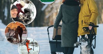 Зимние прогулки: звездные родители с новорожденными малышами