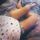 DARINA