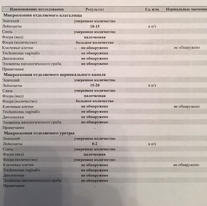 Микрофлора палочки умеренно. Микроскопия влагалищных мазков норма. Исследование мазка эпителий норма. Норма эпителий в микрофлоре влагалища. Эпителий 2-4 в мазке у женщин.