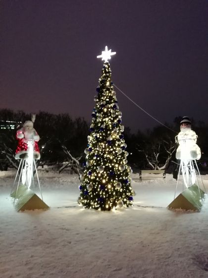 Новогоднее настроение)))
