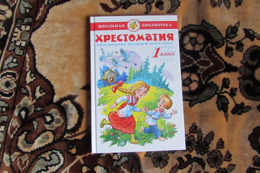 Собираемся в школу. Кошачья тема
