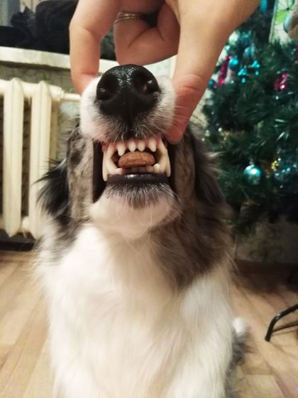 А какие у вас шесть утра?