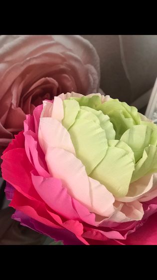 🎀🎀🎀Празднование Годика🎀🎀🎀