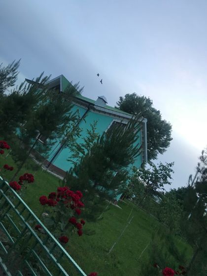 Погуляли