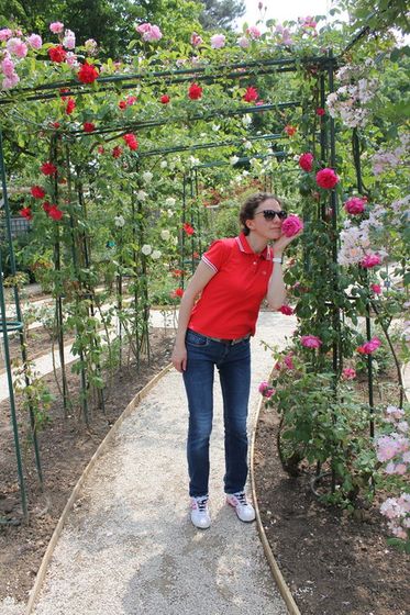 Во французском розарии: розы - это чудо!