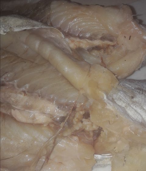 Рыба для котлет! Какую берёте?
