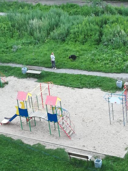 Девочки совет нужен