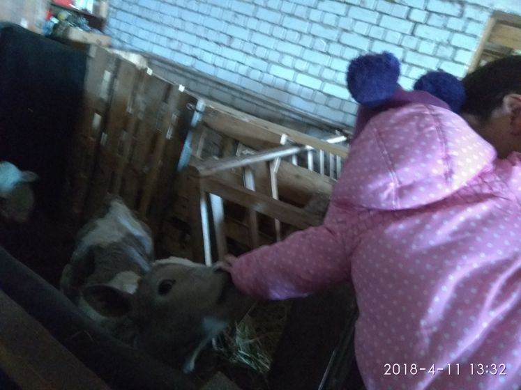 Новости. Лекарство и сборы в больницу