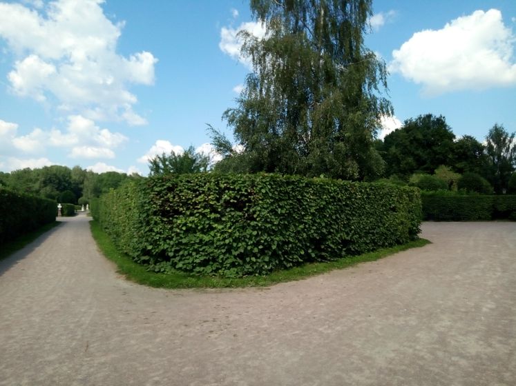 Прогулка в усадьбе Кусково. Ч.1