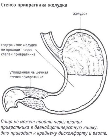 НАШИ НОВОСТИ. 3 ЧАСТЬ.