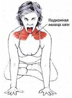 Кольца Венеры: поговорим о шее