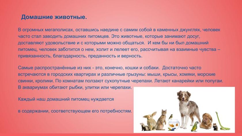 Презентация