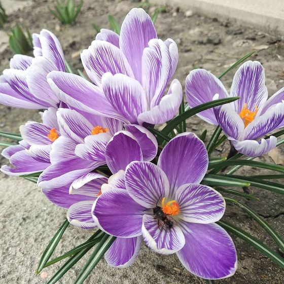 Веснаааа😍😍😍🌸🌸🌸