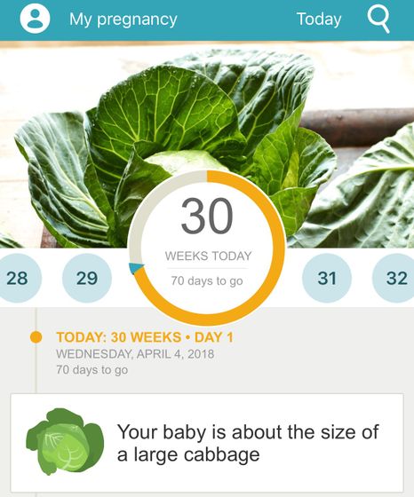 30 недель. Двойня🤰🏻