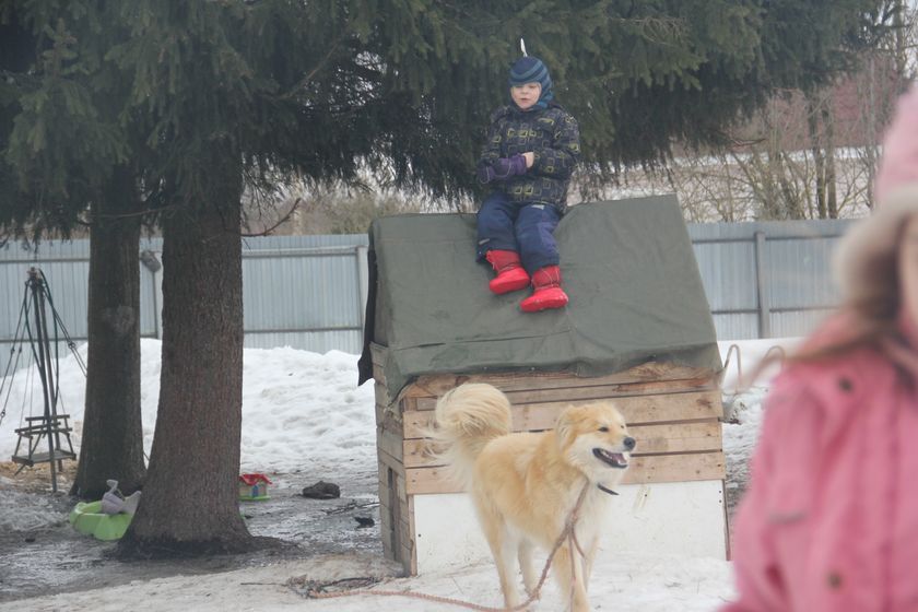 многофотопост