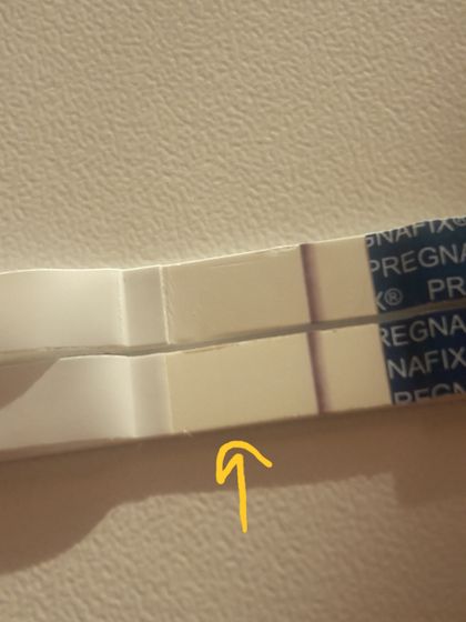 PREGNAFIX кто делал такой тест?