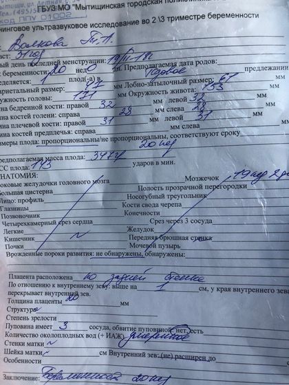Второй скрининг пройден.