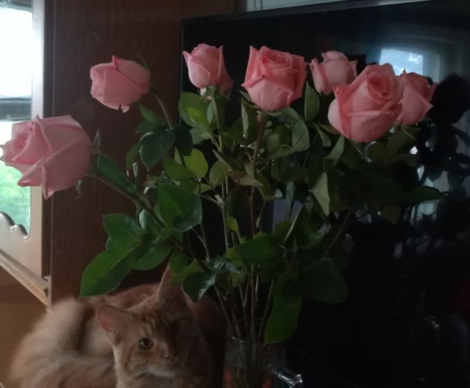 Вот он какой ...