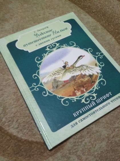 Дневник 25-28 февраля 2019. День рождения папы, занятия и анатомия.