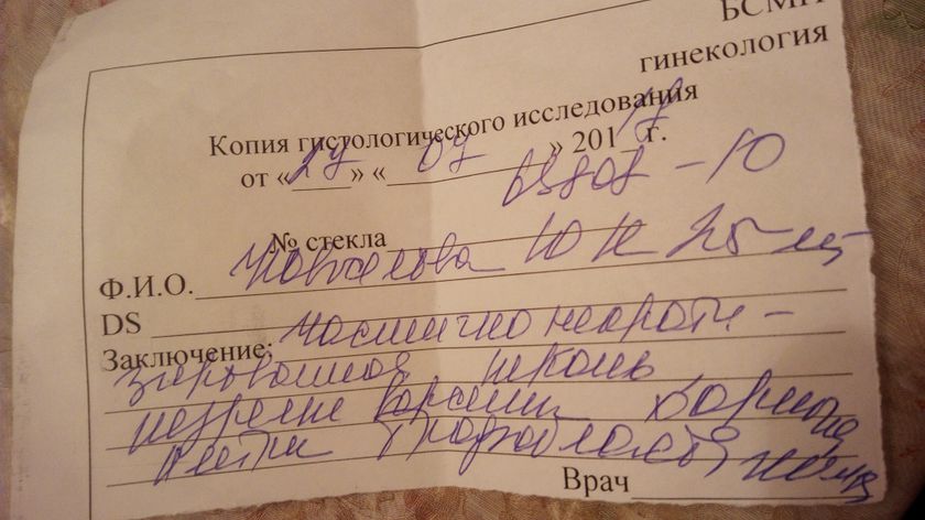 Гистология анэмбриония
