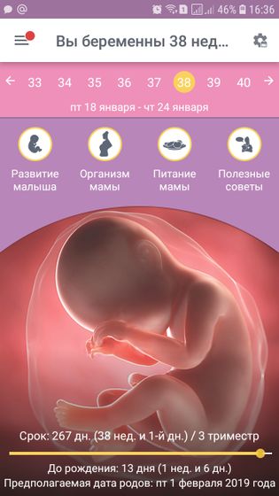 ???38 неделек???
