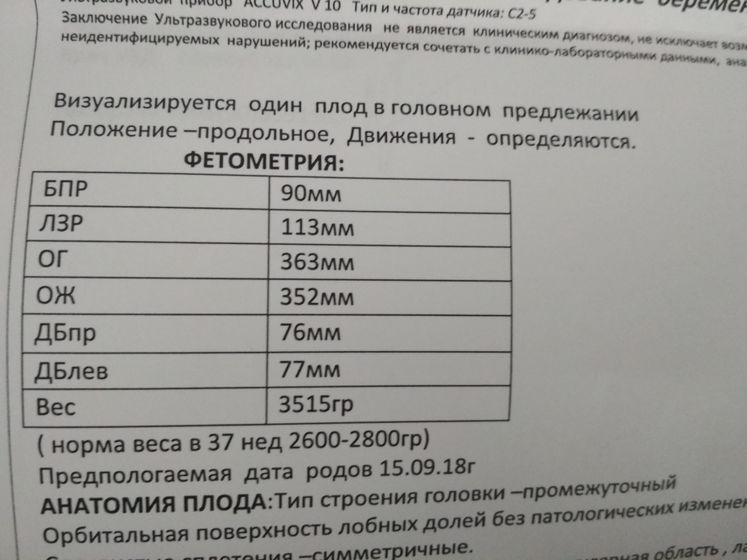 Финальное УЗИ