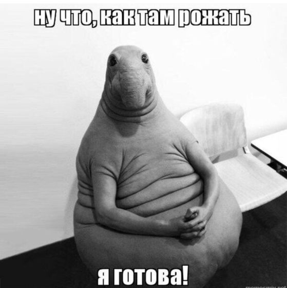 Ну это прям я))))