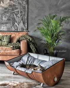 Для животин