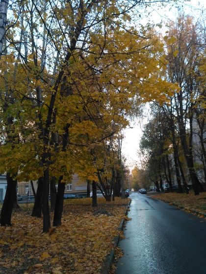 Наш выползон на сон грядущий????