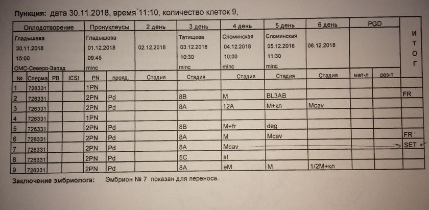 ЭКО. Протокол культивирования эмбрионов