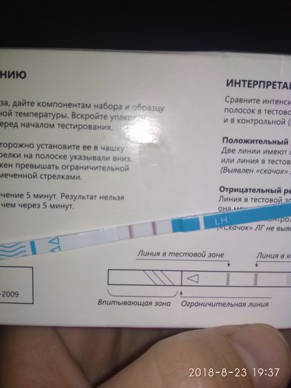 Овуляция